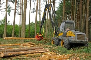 Clearing land with machinery